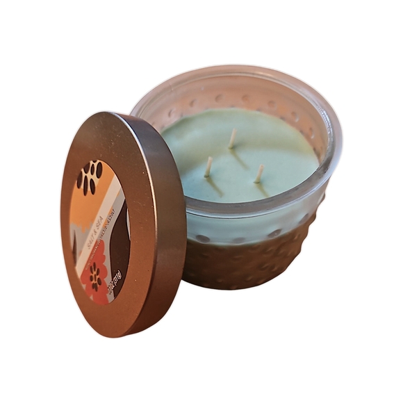 Salt & Sea Scented Candle, Three Wicks, New With Tags - Picture 2 of 2